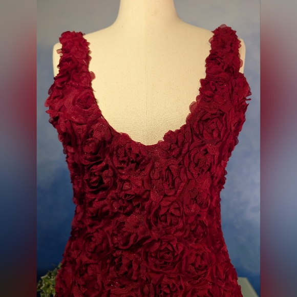 Elegant Red Rose Textured Women's Dress - Picture 2 of 6